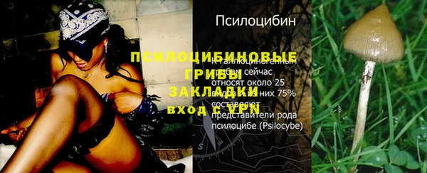 круглые Нягань