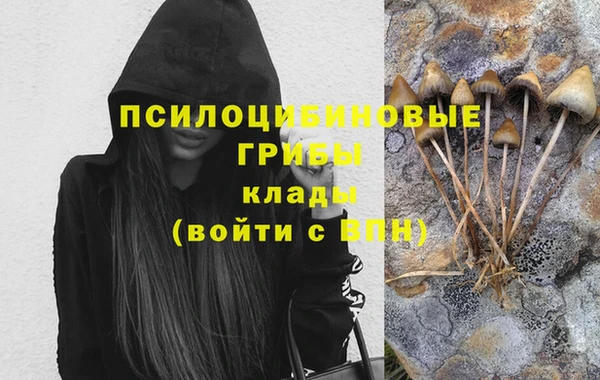 бутират Алексеевка