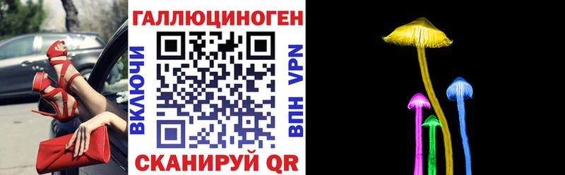 наркошоп  Чаплыгин  Галлюциногенные грибы Cubensis 